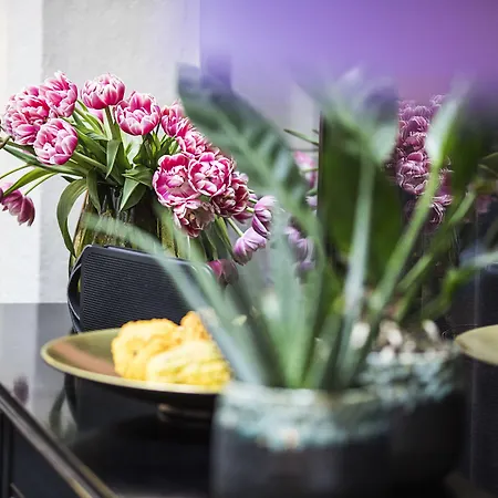 ホテル Bella Grande コペンハーゲン